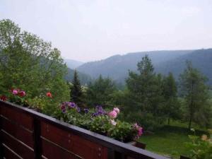 Gasthaus & Pension Zum Hirsch Gehlberg Zewnętrze zdjęcie